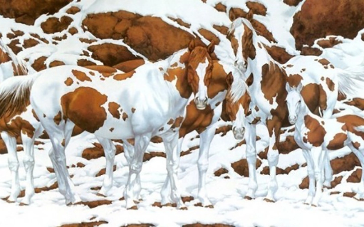 Quiz: Bạn chu đáo hay là người hòa đồng, thân thiện - Ảnh 3.