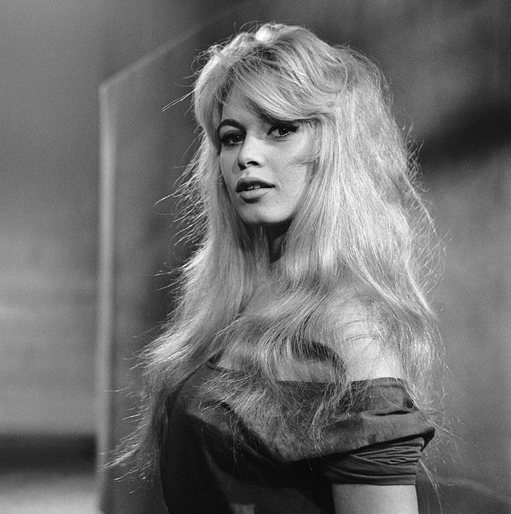 Brigitte Bardot qua đời - Ảnh 2.