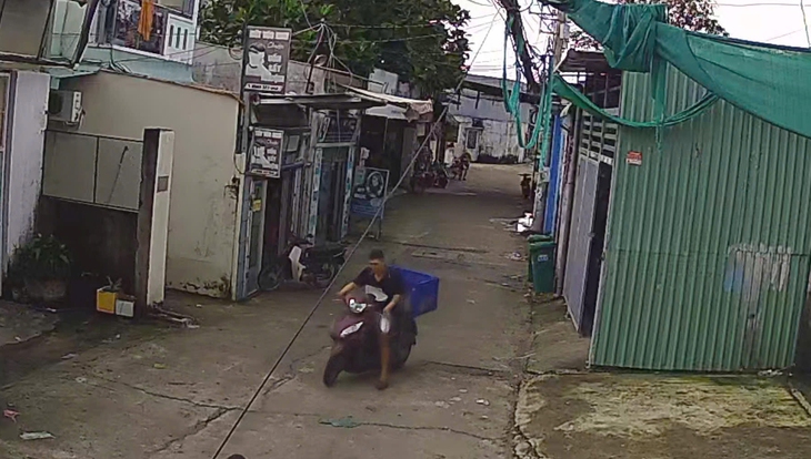 thực phẩm giả - Ảnh 3.