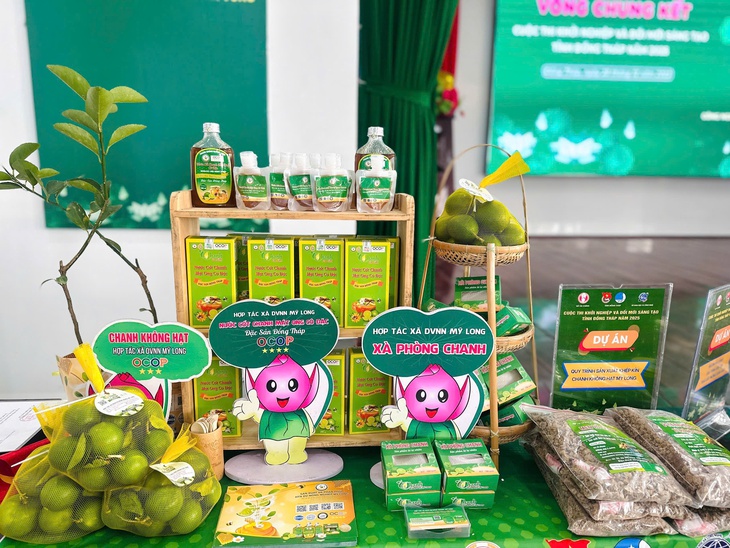 đồng tháp - Ảnh 2.