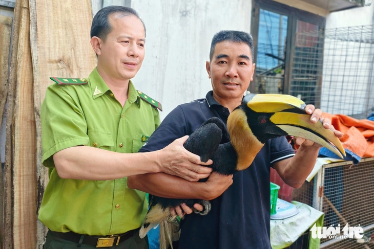 chim hồng hoàng - Ảnh 2.