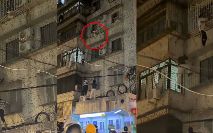 Ảnh vui 29-12: Mang cả văn phòng đến quán cà phê - Ảnh 7.