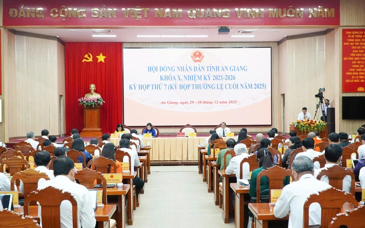 An Giang: 'nóng' nghị trường về xử lý tài sản dôi dư và phát triển hạ tầng - Ảnh 5.