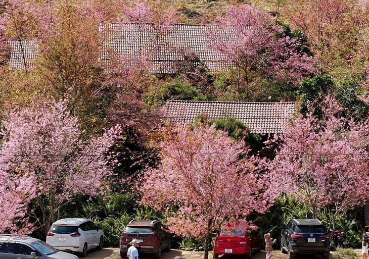 Măng Đen - Ảnh 17.