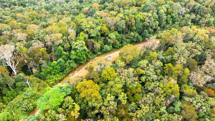 Măng Đen - Ảnh 18.