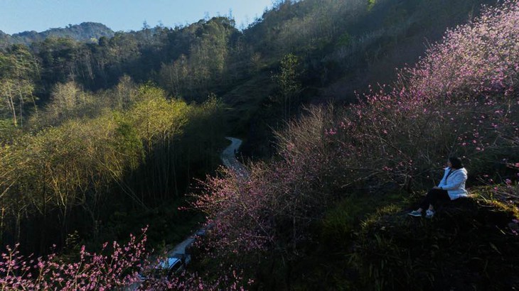 Măng Đen - Ảnh 10.