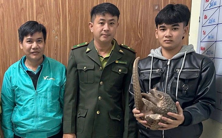 Khởi tố chủ nhà hàng mua tê tê, xẻ thịt, lặt vảy phục vụ thực khách - Ảnh 2.