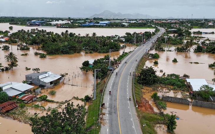 Kỳ vọng quan hệ Việt Nam – Hà Lan tiếp tục tỏa sáng - Ảnh 4.