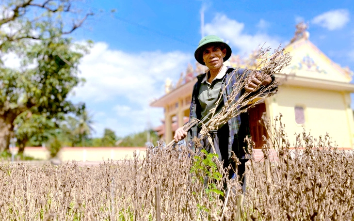 Tan hoang những 'thủ phủ' hoa Tết - Ảnh 2.