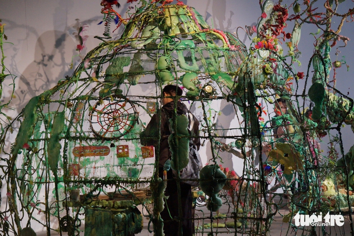 bèo hoa dâu - Ảnh 8.