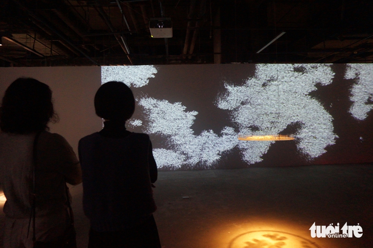 bèo hoa dâu - Ảnh 5.