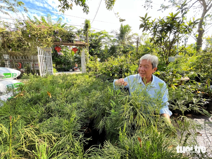 Thầy giáo Cần Thơ 'hồi sinh' loài thủy tùng quý hiếm bên bờ tuyệt chủng - Ảnh 4.