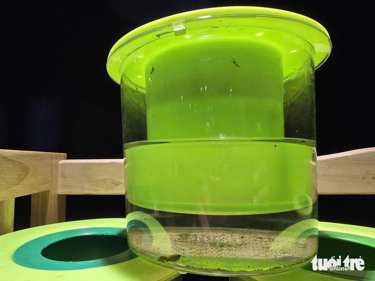 bẫy muỗi - Ảnh 2.