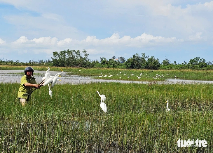 chim trời - Ảnh 1.