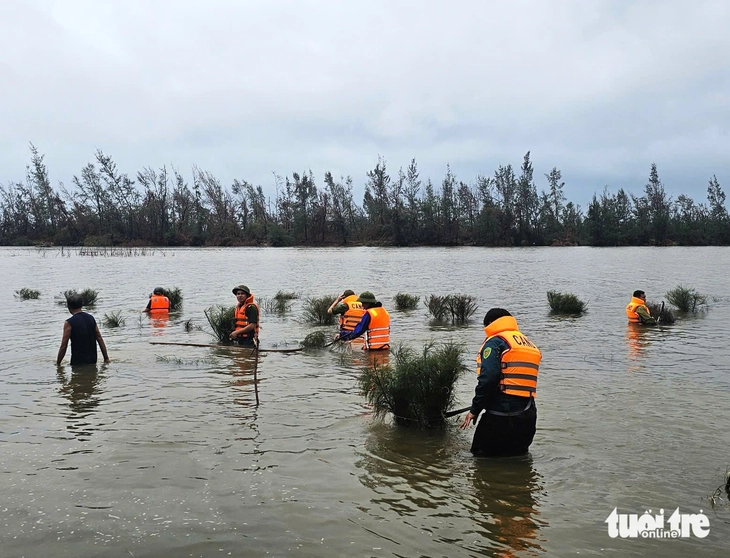 chim trời - Ảnh 2.
