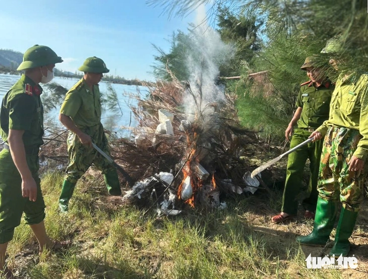 chim trời - Ảnh 4.