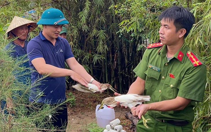 Những cái chết tức tưởi của chim, cò trên đường di thiên - Ảnh 13.