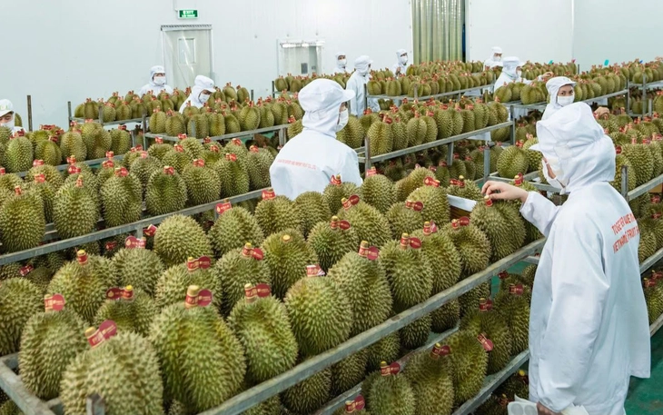 Xuất khẩu 11 tháng đạt kỷ lục mới, xuất siêu hơn 20 tỉ USD - Ảnh 2.