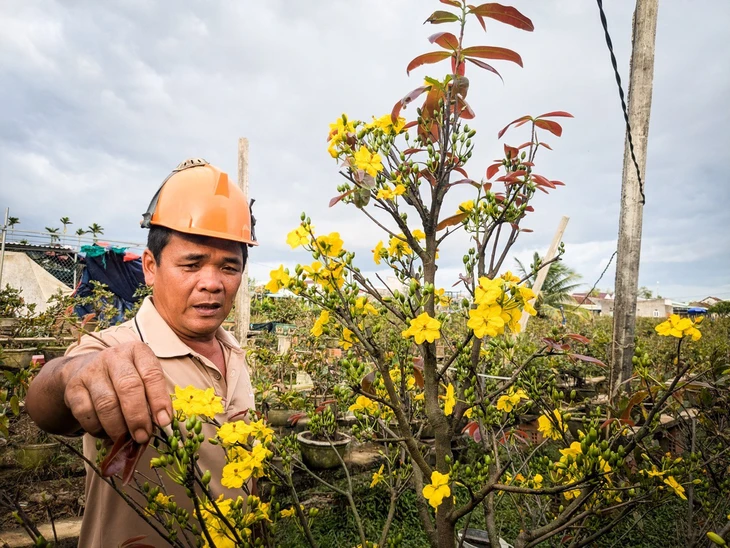 hoa Tết - Ảnh 1.