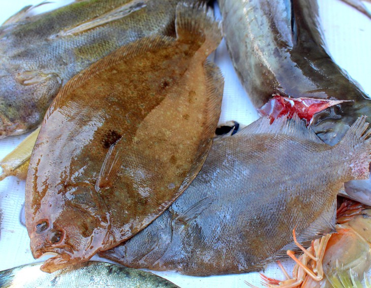 mắm cá dảnh - Ảnh 4.