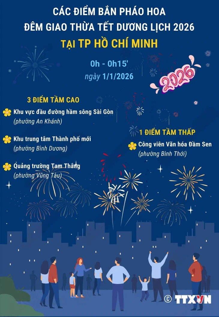 pháo hoa - Ảnh 2.