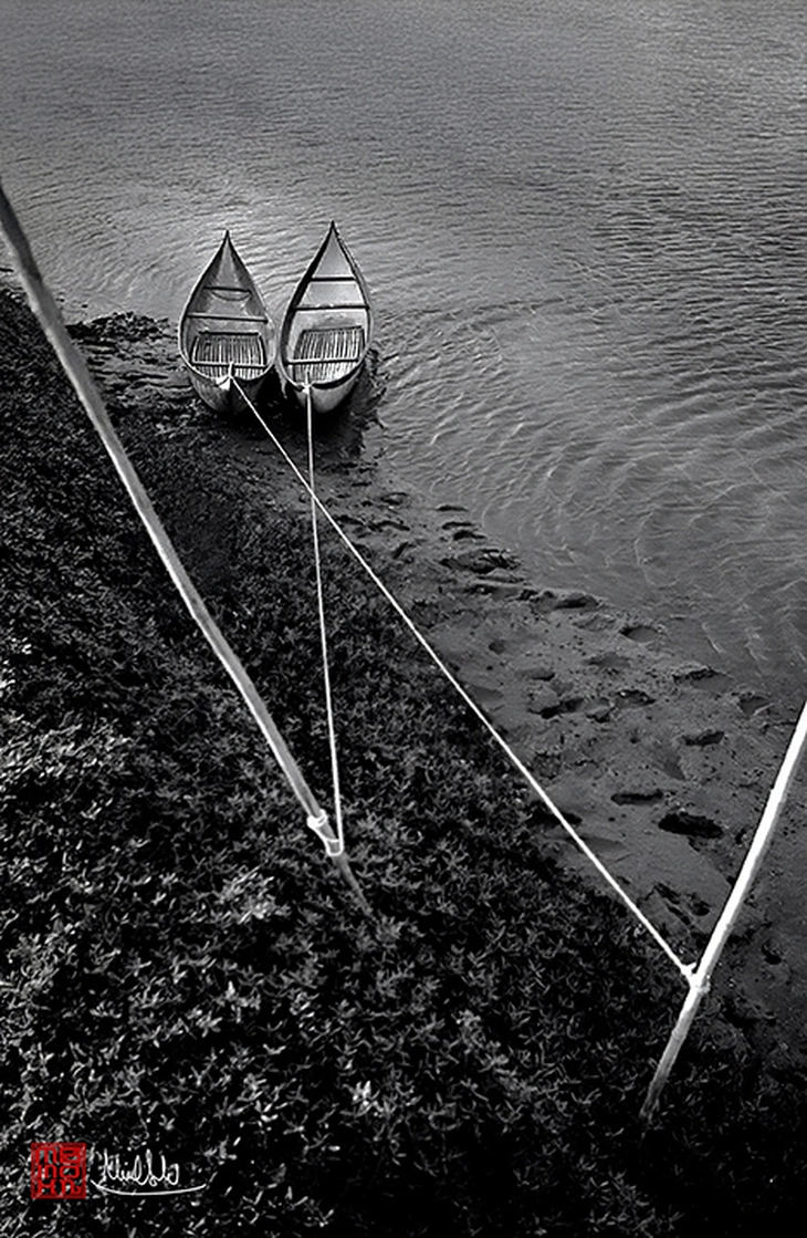 - Ảnh 10. Bùi Minh Sơn - Ảnh 9.