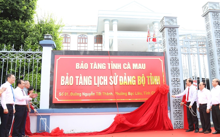 Cà Mau thành lập Bảo tàng Lúa nước, xây dựng biểu tượng hạt lúa  - Ảnh 2.
