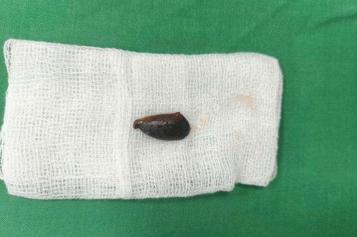 hải phòng - Ảnh 2.