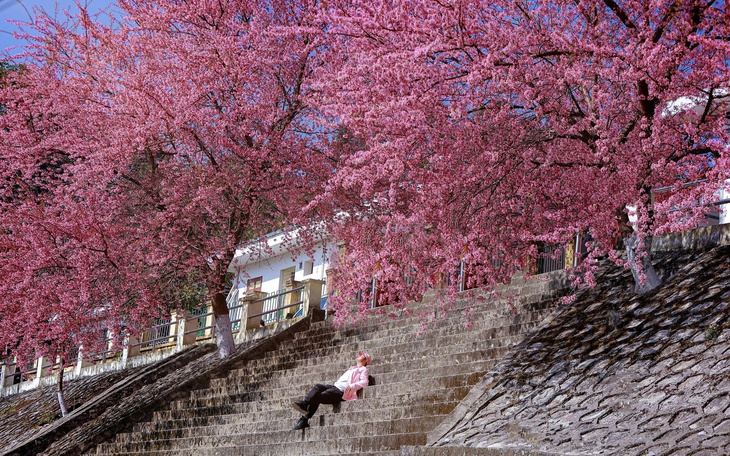 Top địa phương đạt doanh thu du lịch trăm tỉ đồng - Ảnh 4.