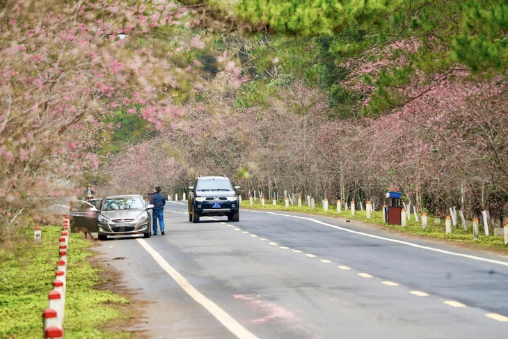 Măng Đen - Ảnh 3.