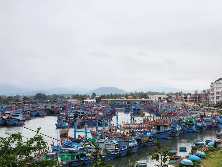 Quảng Ngãi - Ảnh 1.