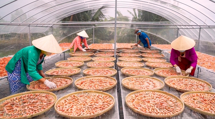 Làng nghề tôm khô Cà Mau rộn ràng vào vụ Tết - Ảnh 3.