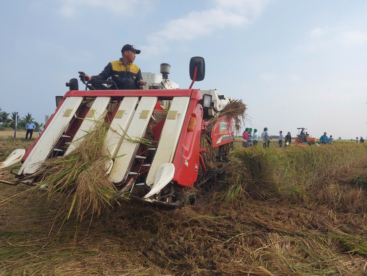 ‘Gạo Việt xanh phát thải thấp’ từ đề án 1 triệu ha lúa chất lượng cao - Ảnh 2.