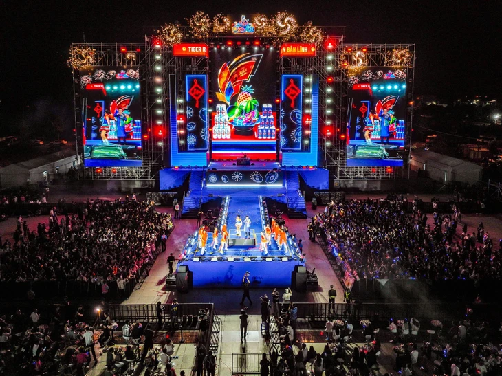 Tiger Remix - Ảnh 8.