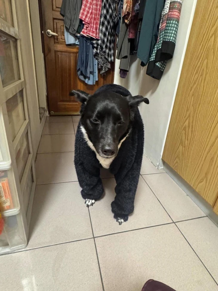 khẩu hiệu - Ảnh 6.