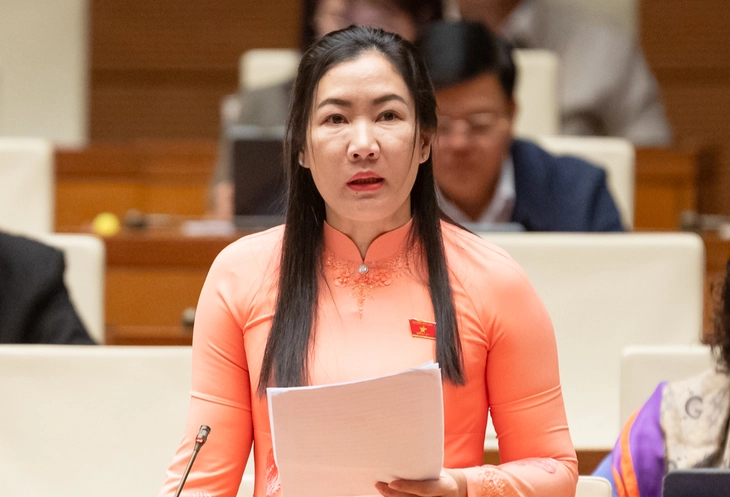 Đại biểu: Lo ngại làn sóng lao động trẻ phải rời bỏ quê hương - Ảnh 1.