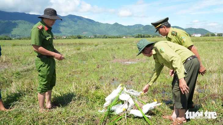 Những cái chết tức tưởi của chim, cò trên đường di thiên - Ảnh 11.