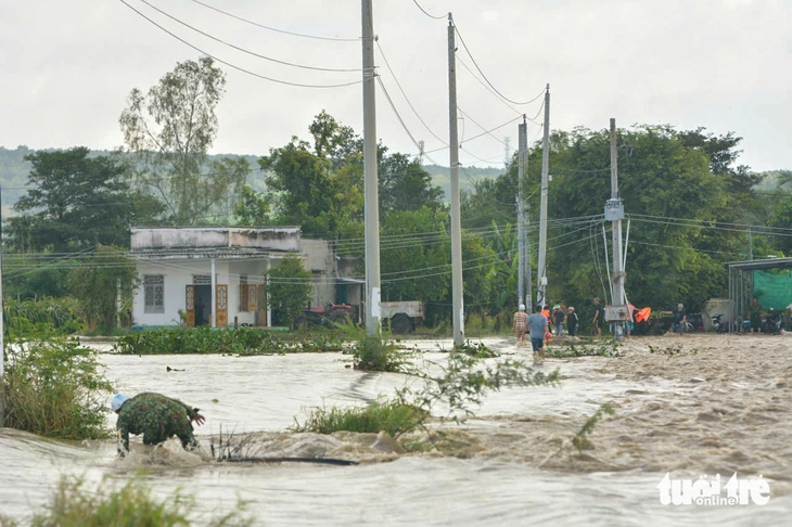 Lâm Đồng - Ảnh 2.