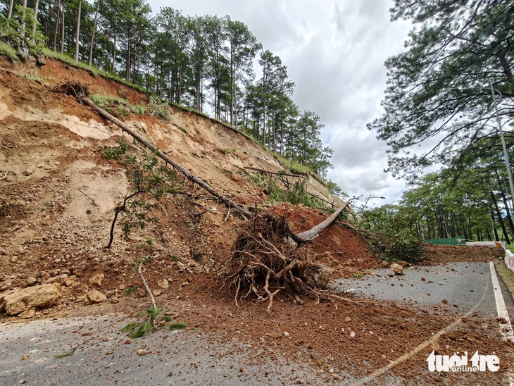 Lâm Đồng - Ảnh 3.