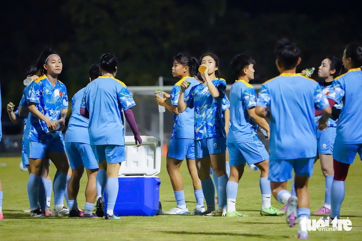 việt nam - Ảnh 2.