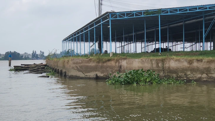 Vì sao người dân phản ứng, không cho khai thác cát làm cao tốc? - Ảnh 3.