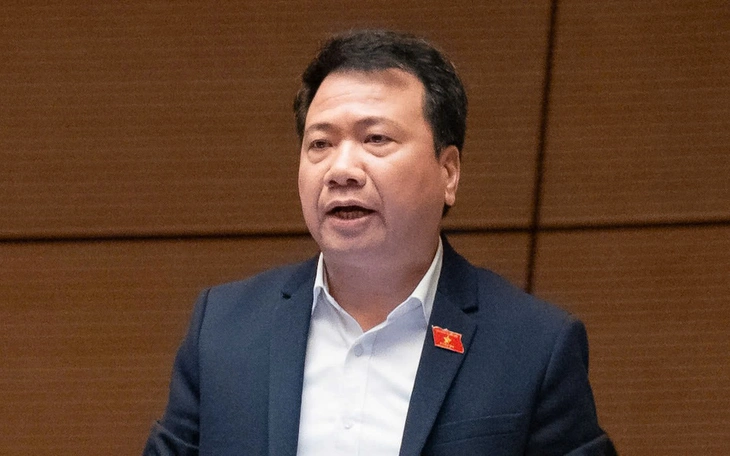 Đại biểu: Lo khoảng cách giàu nghèo và làn sóng lao động trẻ phải rời bỏ quê hương - Ảnh 2.