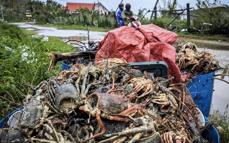 Sinh kế nào cùng người dân vượt lũ? - Ảnh 3.