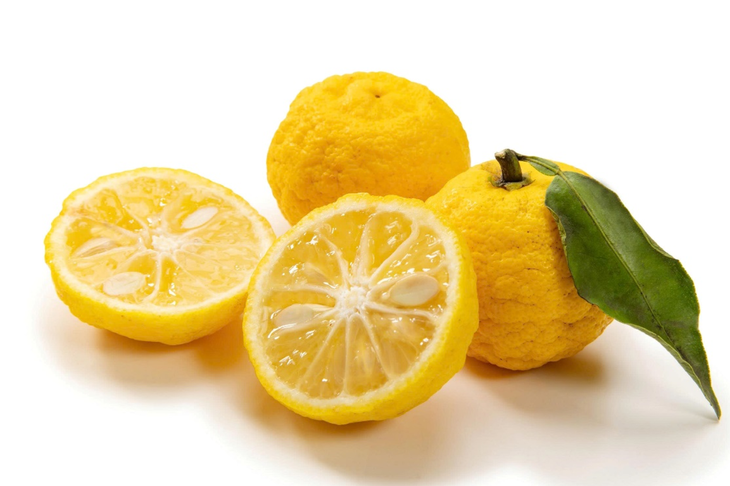 Khám phá hương vị Nhật Bản cùng Trà Mật Ong BONCHA Chanh Nhật Yuzu - Ảnh 1.