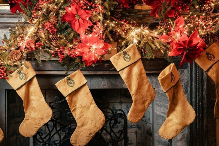 Vua Charles - Ảnh 1.