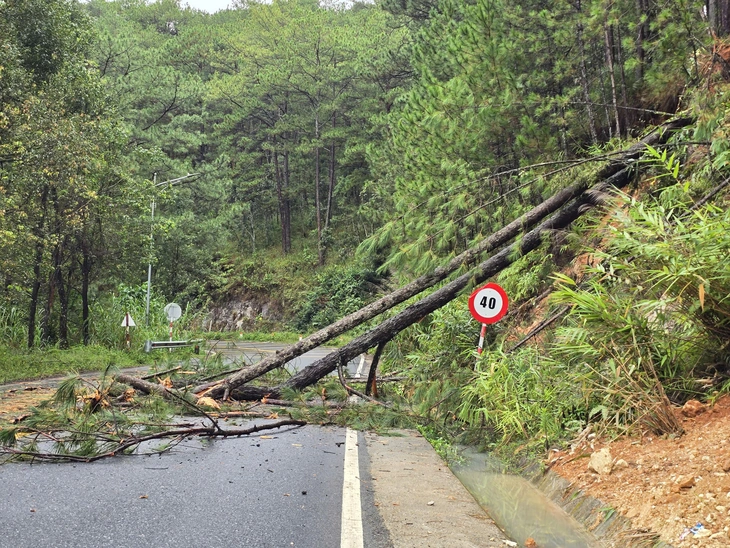 Đà Lạt - Ảnh 2.