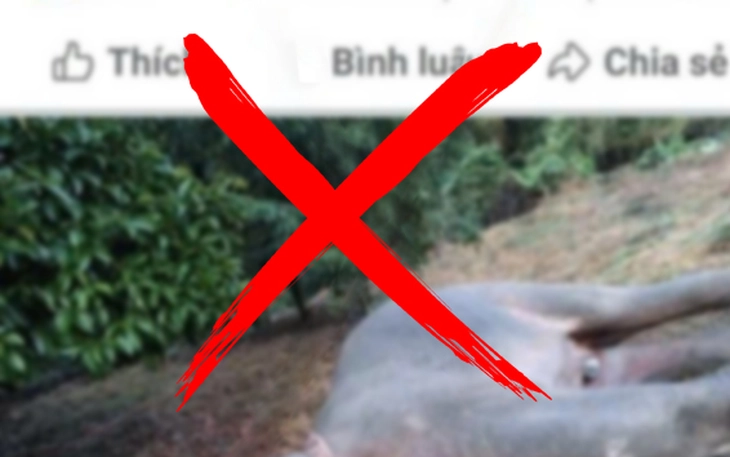 Báo tin giả cháy nổ, thanh niên bị phạt hành chính 2,5 triệu đồng - Ảnh 3.