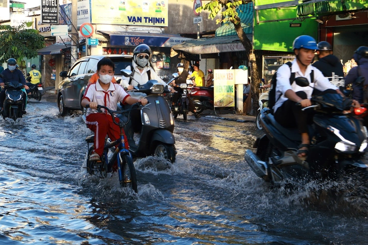 Triều cường - Ảnh 5.