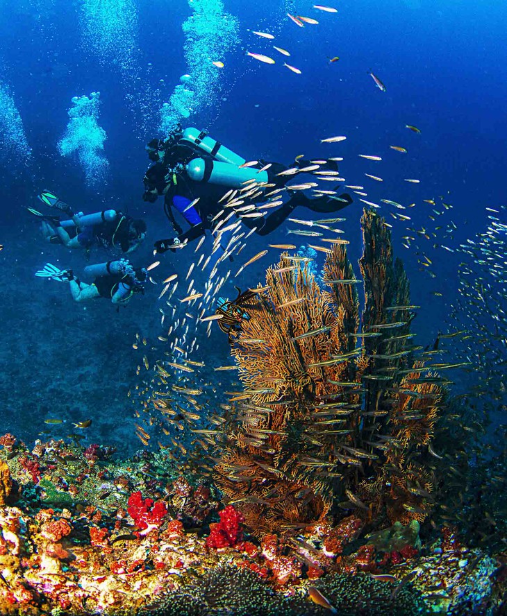 Nhiếp ảnh Việt Nam nhìn quá thấy đẹp nhưng mãi ở lối mòn - Ảnh 2. nhiếp ảnh Việt Nam - Ảnh 2.