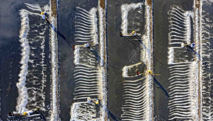 Nhiếp ảnh Việt Nam nhìn quá thấy đẹp nhưng mãi ở lối mòn - Ảnh 9. Nhiếp ảnh Việt Nam nhìn qua thấy đẹp nhưng mãi ở lối mòn - Ảnh 9.